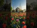 A beautiful mosque #islamicvideo  #dramatic #aivideo #beautiful #Turkey #bangladesh #viralvideoシ