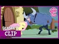 Fluttershy Stands Up To Iron Will (Putting Your Hoof Down) | MLP: FiM [HD]