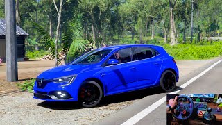Renault Megane RS I Forza Horizon 5 I Logitech G29 Game play