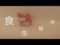 食虫植物／理芽　cover