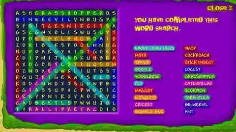 Bin Weevils - INSECT WORDSEARCH - ANSWERS!