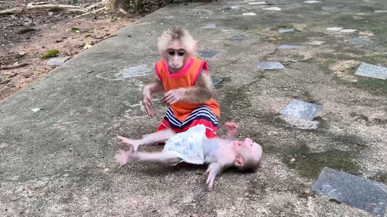 Creepy Linda Backward On Floor Anqry Pavpav Put Her Down