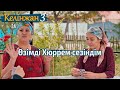 Кім жеңілсе, сол сиыр сауады | «Келінжан 3» телехикаясы