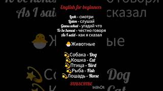 English for beginners#rek#vocabulary#инглиш#shortsviral#youtu#learn#language#foreign#How#english