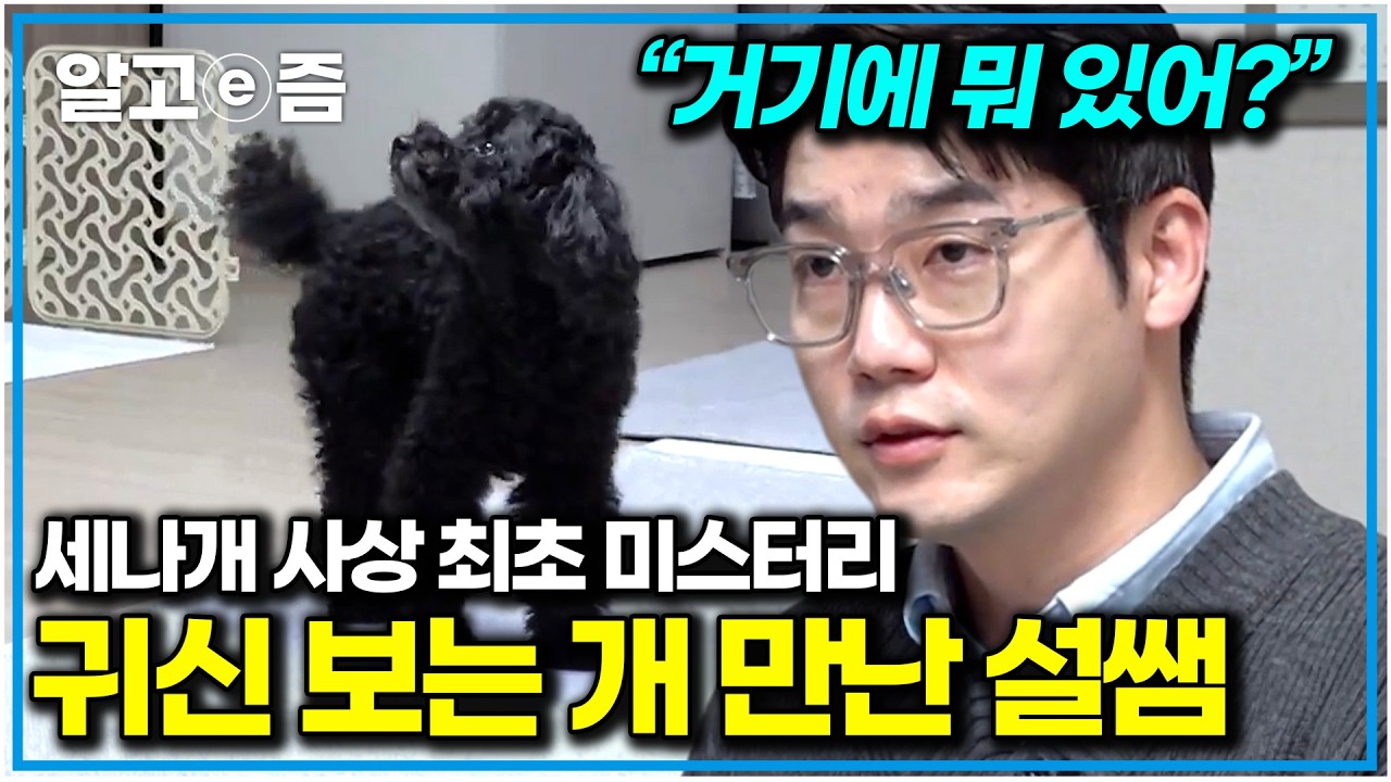 “나 아니면 눈치 못 채겠는데?”  아무것도 없는 허공을 보며 두려워하는 개의 미스터리. 수의사 설쌤이 밝혀낸 귀신의 정체｜세상에 나쁜 개는 없다｜알고e즘