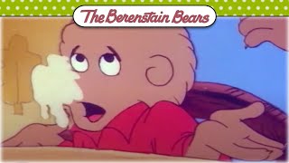 Berenstain Food Fight ?Berenstain Bears Official