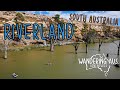 Riverland | Big Bend to Blanchetown and Caudo Vineyard | South Australia