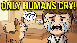 Why do we cry?