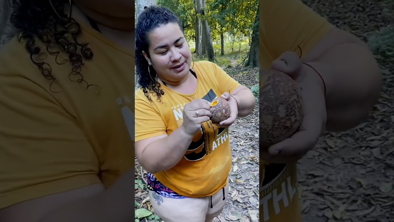 Recogiendo frutas en el campo 