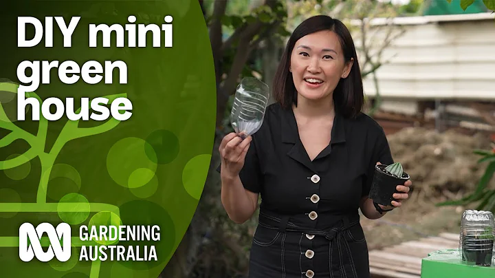 Making DIY mini greenhouses for growing seeds and ...