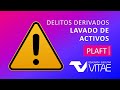 Delitos Derivados del Lavado de Activos