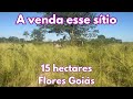 A venda esse sítio de 15 hectares - Flores Goiás