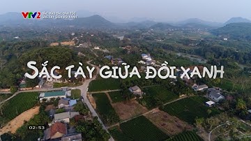 Phú Lương - Nơi người Tày giữ lửa văn hóa giữa núi rừng Thái Nguyên | Sắc màu các dân tộc | VTV
