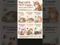 Is Your Cat Secretly Unhappy? Watch This! ⚠️