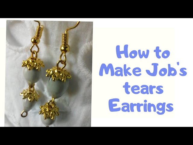 Natural Beads for Jewelry Making lacrima jobi