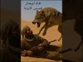 119 قصة ذيب العرمة من اشهر وقائع وقصص الذئاب في نجد 119 قصة ذيب العرمة من اشهر وقائع وقصص الذئاب في نجد