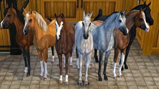 Buying The New Arabian Horses in Star Stable Online