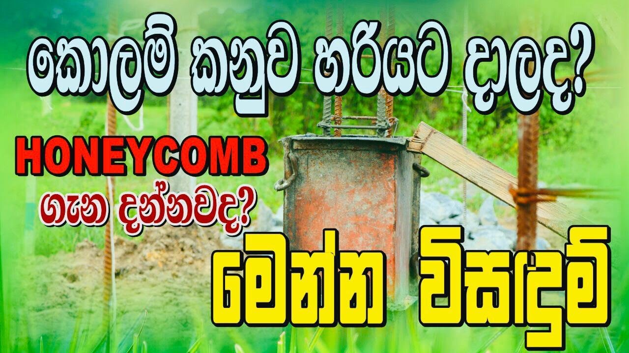 කොලම් කනුව හරියට දාලද? Honeycomb Solutions | Lions Home Lanka | House Construction