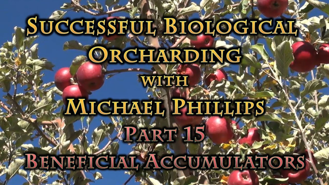 Successful Biological Orcharding with Michael Phillips Part 15 Beneficial Accumulators