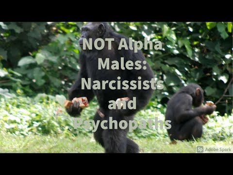 NOT Alpha Males: Just Narcissists and Psychopaths