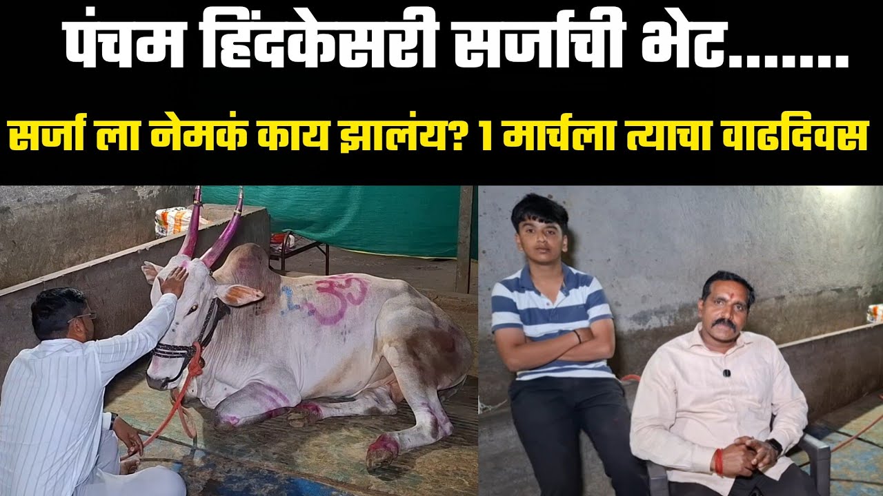 पंचम हिंदकेसरी सर्जा ची भेट...