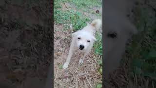 Chikay #roadto2ksubscribers #roadto2ksubscribers