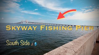 LET’S SEE What Is BITING at Skyway Fishing Pier 🎣