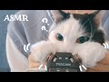 長毛猫による猫の手ASMR🐱バイノーラル【音フェチ】