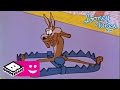 Ep 11  le pige  loup  bip bip et vil coyote  boomerang