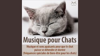 Video thumbnail of "Musique pour chats TA - Musique de relaxation pour le chat : des sons de piano doux pour mon animal (gamme de..."