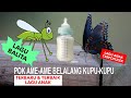 TERBARU LAGU ANAK , POK AME AME BELALANG KUPU KUPU