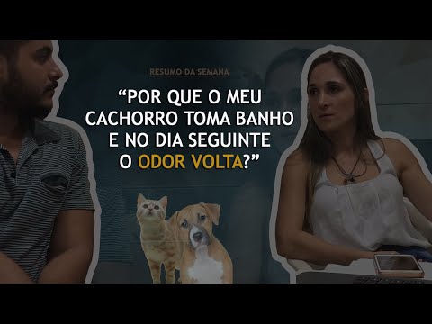 Vídeo: Pergunte a um veterinário: Por que meu cão sempre fede como ele precisa de um banho?