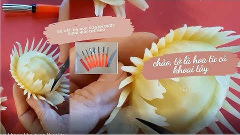 Bộ dụng cụ tỉa hoa cơ bản ai cũng có thể thực hiện được và mẫu tỉa hoa hồng khoai tây
