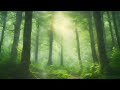 AI composes music on the theme of forest and healing(081) AIが森と癒しをテーマに作曲　081
