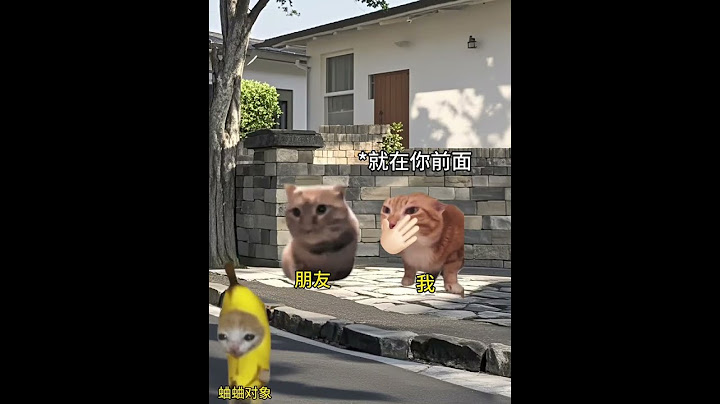 你问我什么时候最紧张#有趣 #猫meme #猫meme剧场 #猫meme小剧场 #内容过于真实  #故事 #貓 #猫猫meme小剧场 #喵不可言