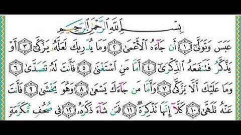 سورة عبس للقارئ ايمن سويد