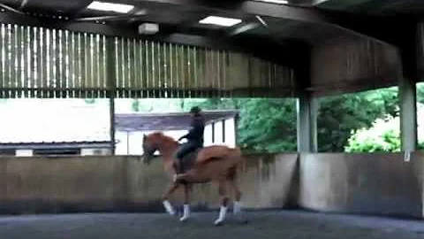 Kathryn lesson with Lone Jorgensen