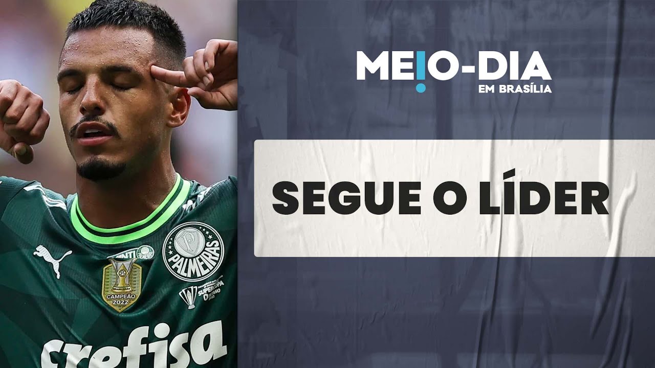 Palmeiras é o novo líder do Brasileirão