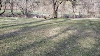 Lehigh parkway