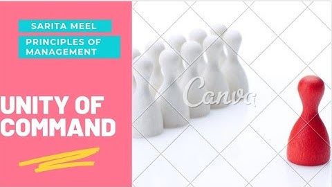 principles  of management (unity of command)