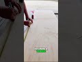 DIY Cabinet Pt.11 // Free plans #toolcabinets #diy #furniture #storagesolutions #diywoodworking