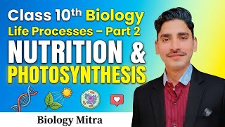 Life Processes Part 2 – Nutrition &amp; Photosynthesis | Class 10 Biology Full Explanation