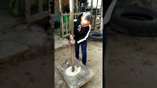 Thingtang Bu Suk Dan