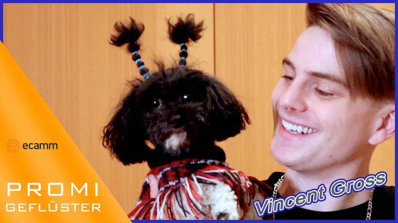 Vincent Gross •777 - verliebt in Britney