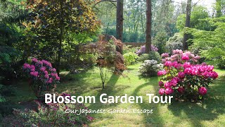 Garden Tour Azalea and Rhododendron Blossoms | Our Japanese Garden Escape