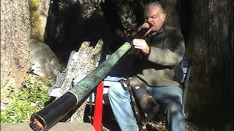Billabong Pine Didgeridoo made by David Blonski