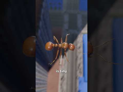 Dropping An Ant Off The Empire State Building 🤔