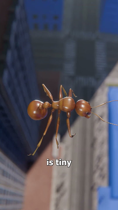 Dropping An Ant Off The Empire State Building 🤔