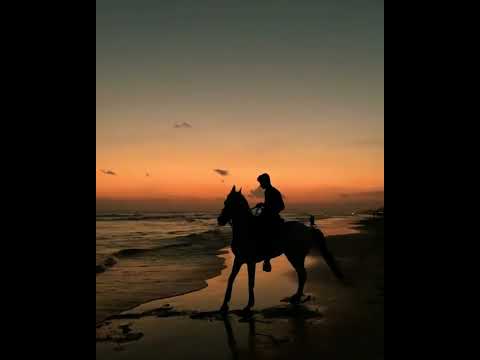 رجل يركب حصان غروب