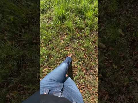 إمتي كلنت آخر مرة جربت هالاحساس التجذر العلاقة العاطفية مدربة علاقات اكسبلور